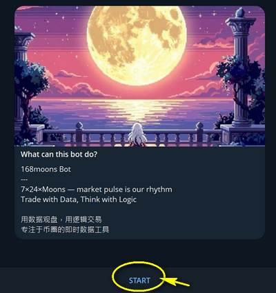 點擊開始按鈕與 168Moons 機器人對話的教學截圖